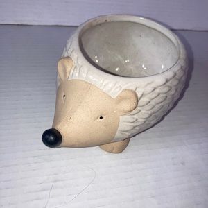 Hedgehog Animal Planter - Indoor Planter | Houseplant Pot | Air Plant Holder